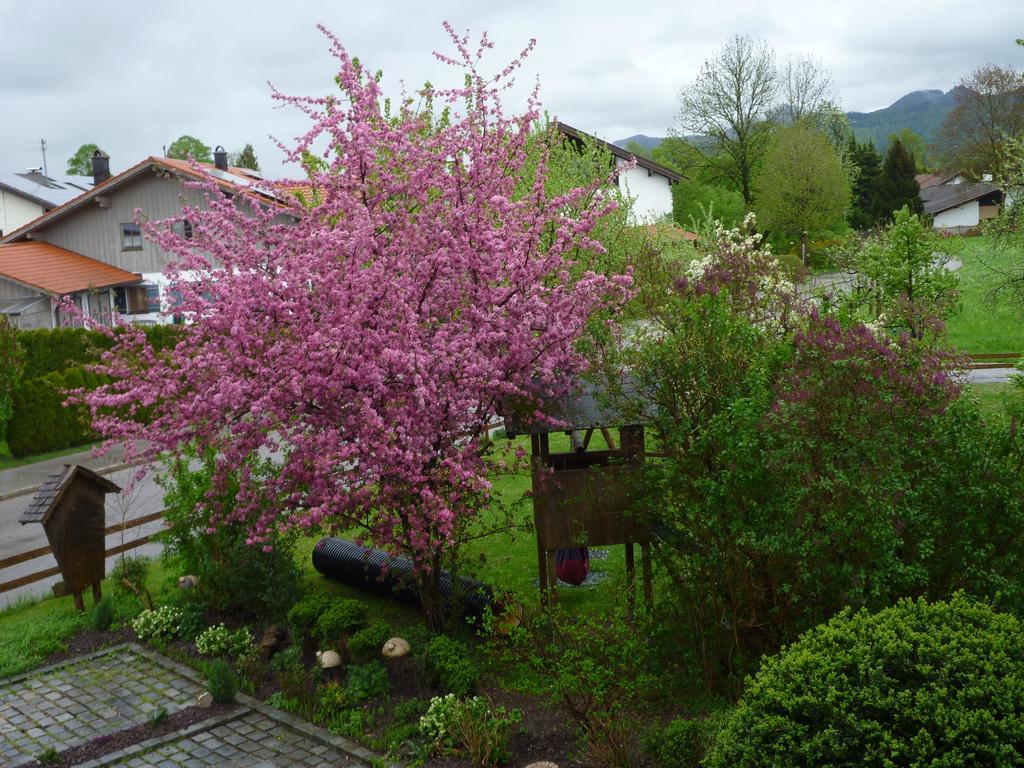 Apartments Donebauer Übersee Kültér fotó